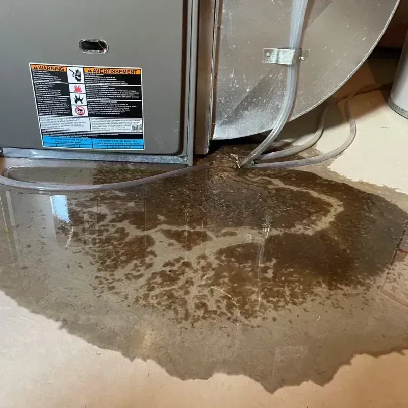 Appliance Leak Cleanup in Forsyth, MT